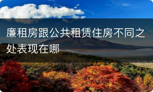 廉租房跟公共租赁住房不同之处表现在哪