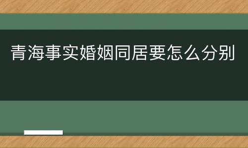 青海事实婚姻同居要怎么分别