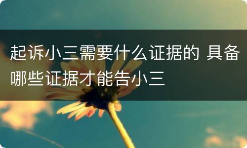 起诉小三需要什么证据的 具备哪些证据才能告小三