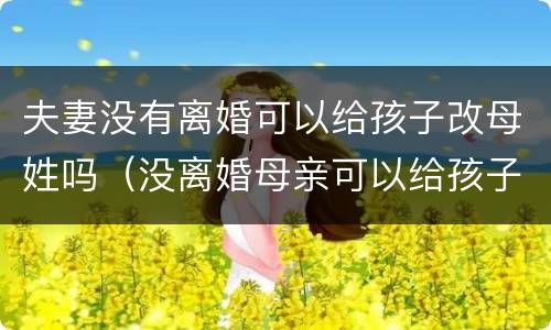 夫妻没有离婚可以给孩子改母姓吗（没离婚母亲可以给孩子改姓吗）