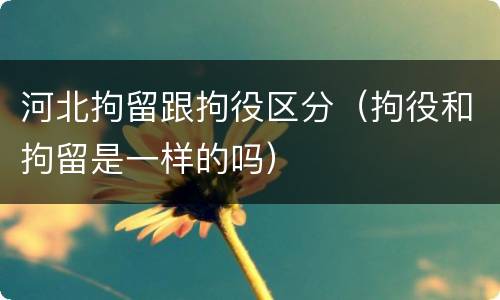 河北拘留跟拘役区分（拘役和拘留是一样的吗）