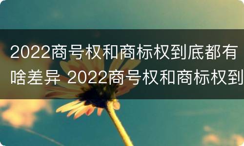 2022商号权和商标权到底都有啥差异 2022商号权和商标权到底都有啥差异呢