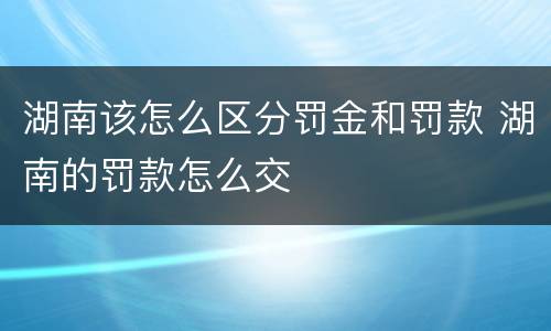 湖南该怎么区分罚金和罚款 湖南的罚款怎么交