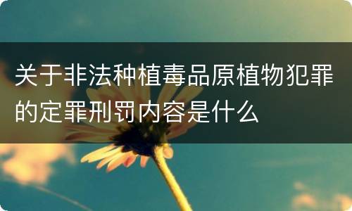 关于非法种植毒品原植物犯罪的定罪刑罚内容是什么