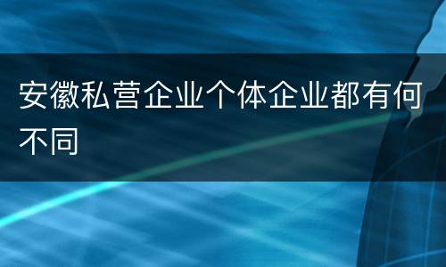 安徽私营企业个体企业都有何不同