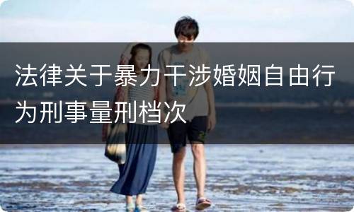 法律关于暴力干涉婚姻自由行为刑事量刑档次