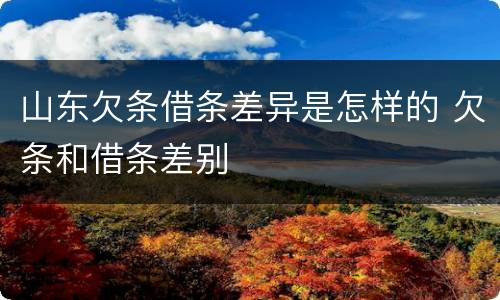 山东欠条借条差异是怎样的 欠条和借条差别