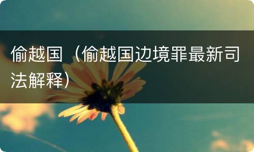 偷越国（偷越国边境罪最新司法解释）