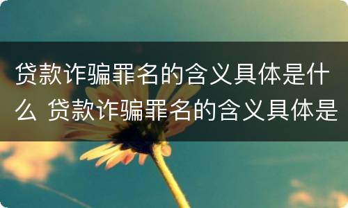 贷款诈骗罪名的含义具体是什么 贷款诈骗罪名的含义具体是什么意思