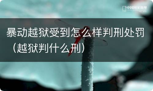 暴动越狱受到怎么样判刑处罚（越狱判什么刑）