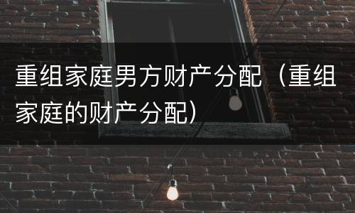 重组家庭男方财产分配（重组家庭的财产分配）