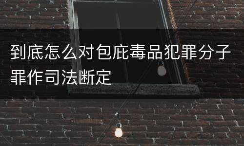 到底怎么对包庇毒品犯罪分子罪作司法断定