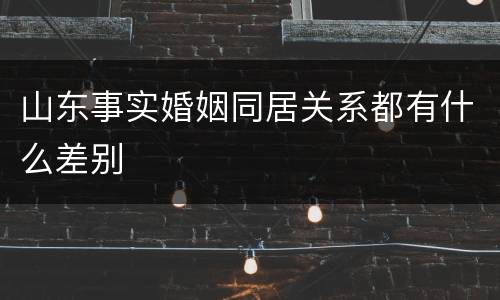 山东事实婚姻同居关系都有什么差别