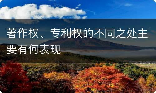 著作权、专利权的不同之处主要有何表现