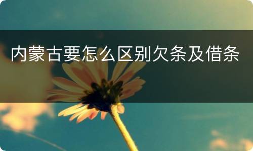 内蒙古要怎么区别欠条及借条