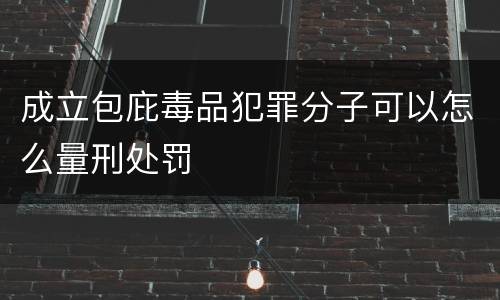 成立包庇毒品犯罪分子可以怎么量刑处罚