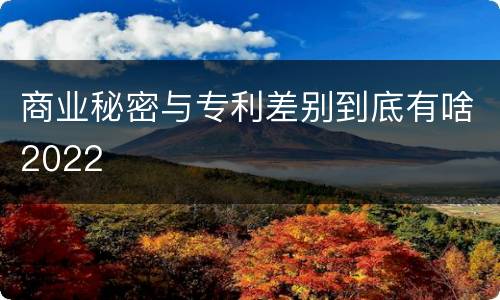 商业秘密与专利差别到底有啥2022
