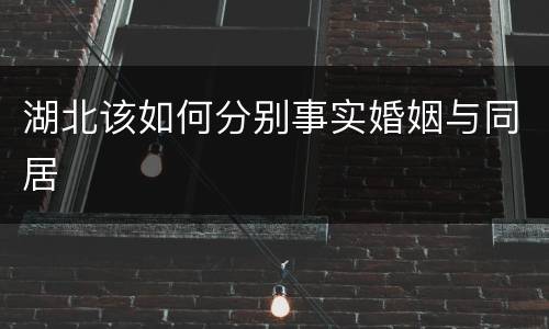 湖北该如何分别事实婚姻与同居