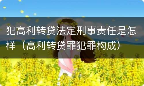 犯高利转贷法定刑事责任是怎样（高利转贷罪犯罪构成）