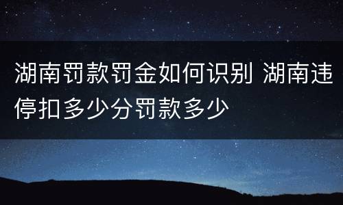 湖南罚款罚金如何识别 湖南违停扣多少分罚款多少