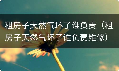 租房子天然气坏了谁负责（租房子天然气坏了谁负责维修）