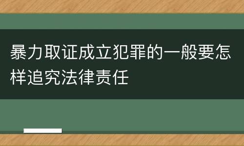 暴力取证成立犯罪的一般要怎样追究法律责任