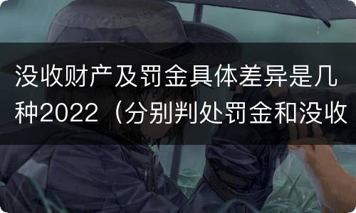 没收财产及罚金具体差异是几种2022（分别判处罚金和没收全部财产）