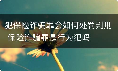 犯保险诈骗罪会如何处罚判刑 保险诈骗罪是行为犯吗