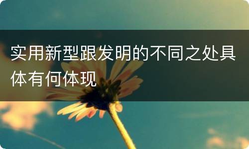 实用新型跟发明的不同之处具体有何体现