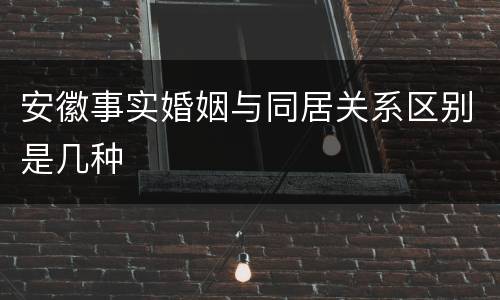 安徽事实婚姻与同居关系区别是几种