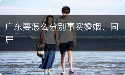 广东要怎么分别事实婚姻、同居
