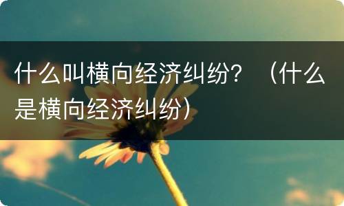 什么叫横向经济纠纷？（什么是横向经济纠纷）