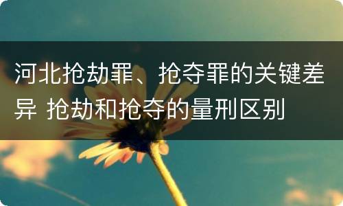 河北抢劫罪、抢夺罪的关键差异 抢劫和抢夺的量刑区别