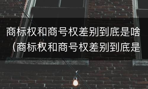 商标权和商号权差别到底是啥（商标权和商号权差别到底是啥）