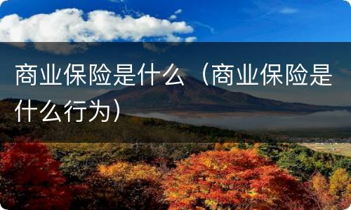 商业保险是什么（商业保险是什么行为）