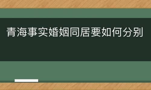 青海事实婚姻同居要如何分别