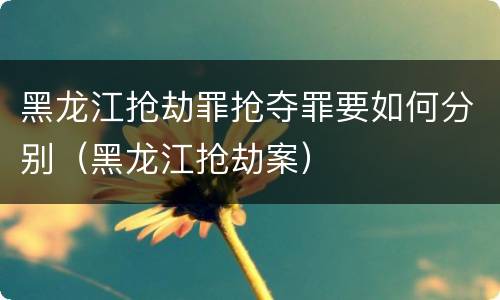 黑龙江抢劫罪抢夺罪要如何分别（黑龙江抢劫案）