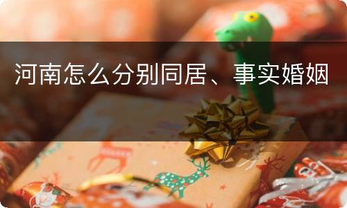 河南怎么分别同居、事实婚姻