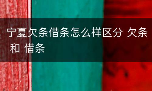 宁夏欠条借条怎么样区分 欠条 和 借条