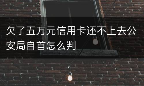 欠了五万元信用卡还不上去公安局自首怎么判