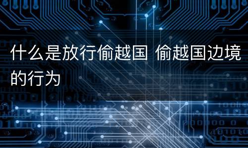 什么是放行偷越国 偷越国边境的行为