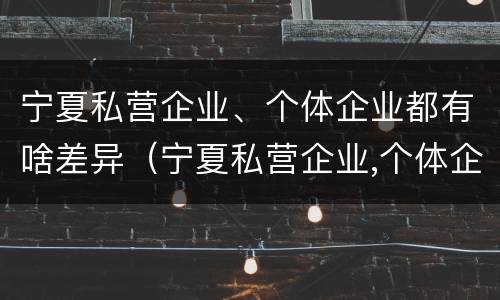 宁夏私营企业、个体企业都有啥差异（宁夏私营企业,个体企业都有啥差异吗）