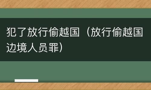 犯了放行偷越国（放行偷越国边境人员罪）