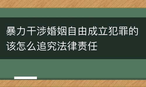 暴力干涉婚姻自由成立犯罪的该怎么追究法律责任