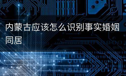 内蒙古应该怎么识别事实婚姻同居