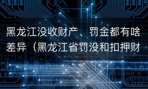 黑龙江没收财产、罚金都有啥差异（黑龙江省罚没和扣押财物管理条例）