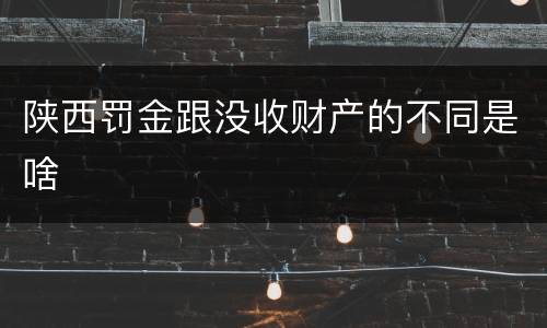 陕西罚金跟没收财产的不同是啥