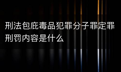 刑法包庇毒品犯罪分子罪定罪刑罚内容是什么