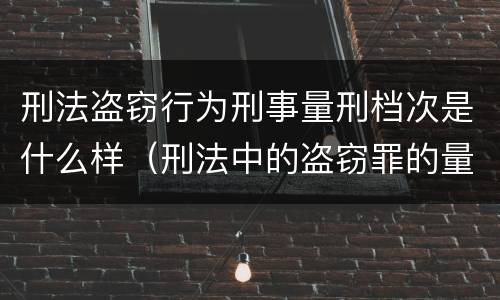 刑法盗窃行为刑事量刑档次是什么样（刑法中的盗窃罪的量刑）