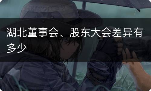 湖北董事会、股东大会差异有多少
